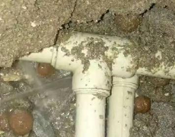 新田测漏水多少钱