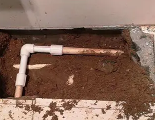 新田测漏水哪家好