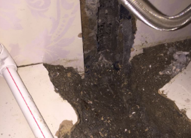 新田卫生间测漏水哪家好