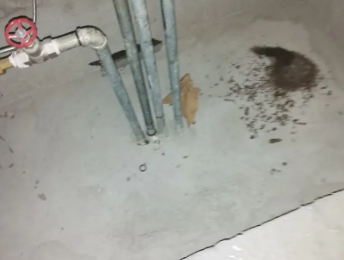 新田卫生间测漏水价格明细