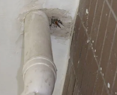 新田漏水检测哪家好